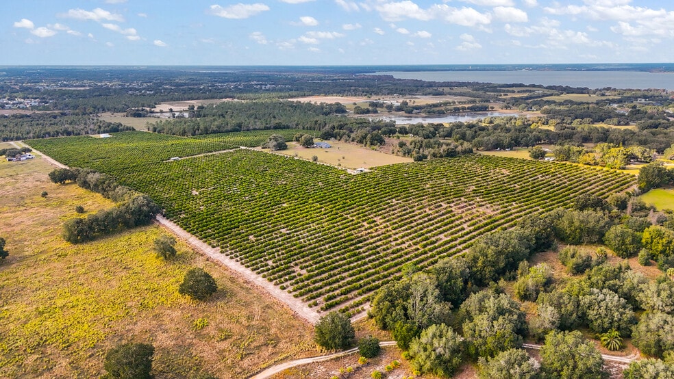 More Photos Of 7285 Number Two rd, Howey-in-the-Hills Land For Sale