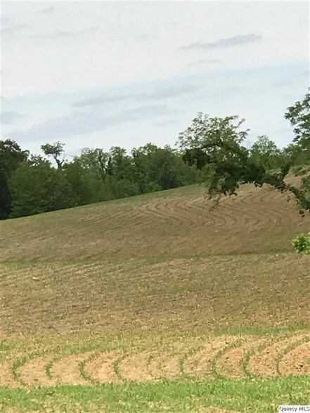 More Photos Of 48178 160th Ave, Pearl Land For Sale