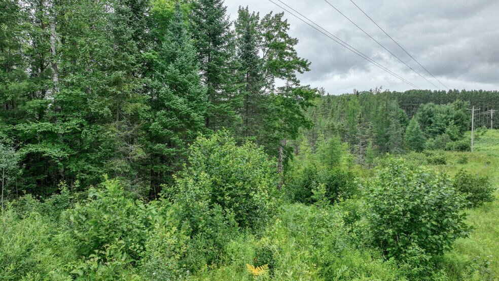 More Photos Of 4E West Twin Lake Road, Hayward Land For Sale