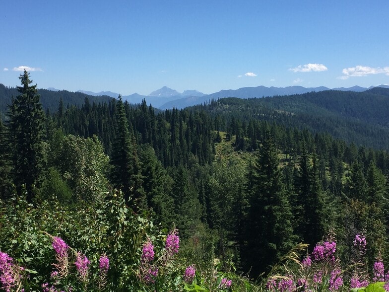 More Photos Of Legacy Timber & Recreaction Tract Near Lone Lake, Kalispell Land For Sale