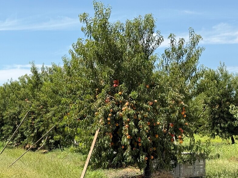 More Photos Of Yosemite Blvd @ Fairland Ave, Modesto Land For Sale