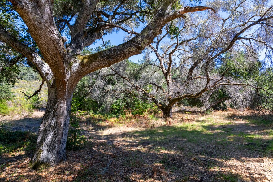 More Photos Of 2372 McKenzie Creek rd, Scotts Valley Land For Sale