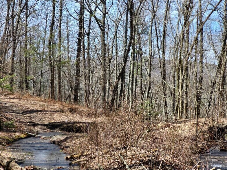 More Photos Of 8 Henry Rd, Cragsmoor Land For Sale