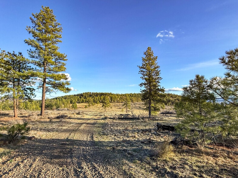 More Photos Of 28000 SE Paulina Hwy, Prineville Land For Sale