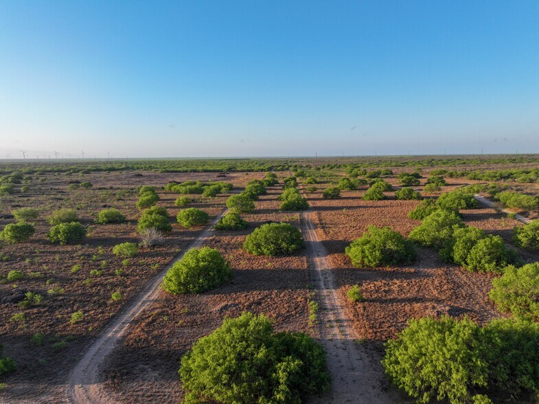 More Photos Of Las Brisas Road, Rio Grande City Land For Sale