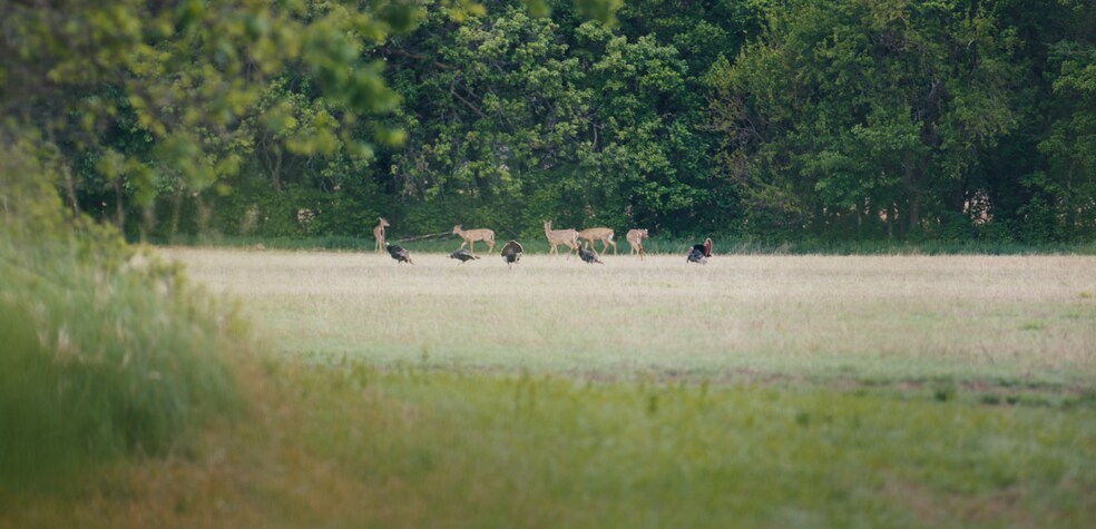 More Photos Of 223 KS-14, Lincoln Land For Sale