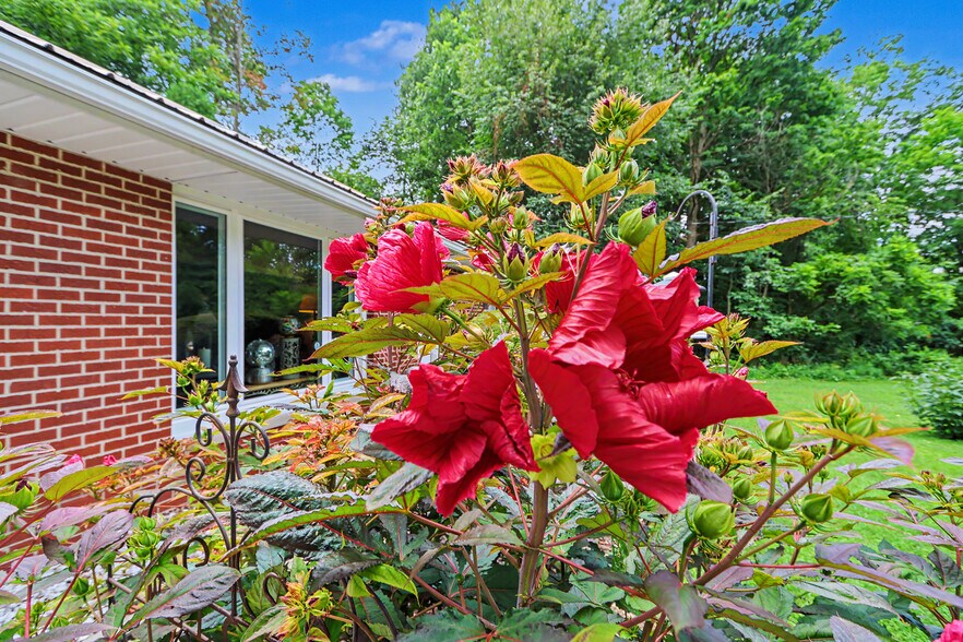 More Photos Of 524 State Route 314 N, Ontario Specialty For Sale