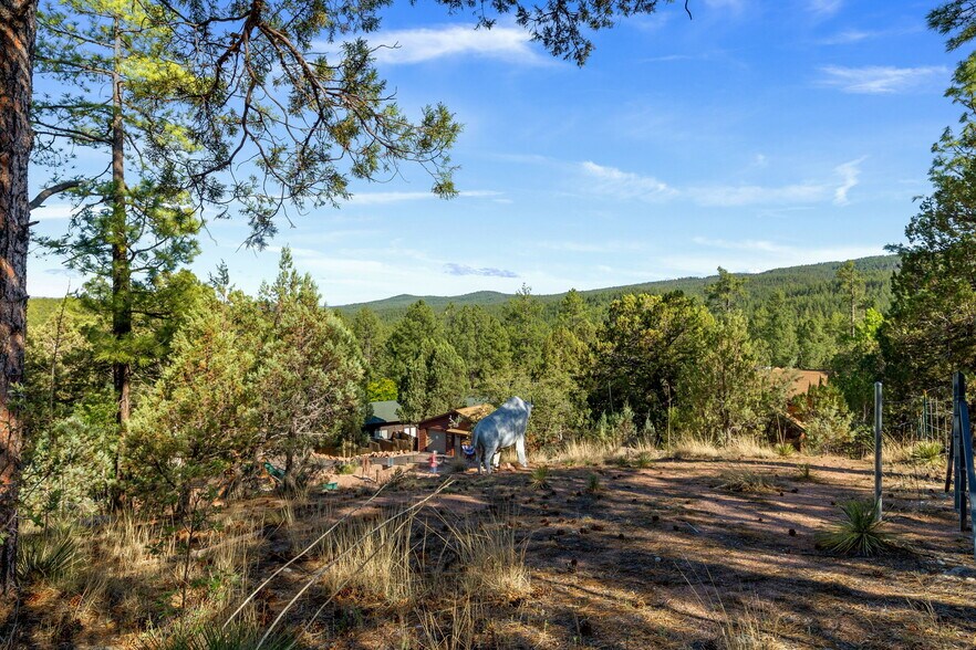 More Photos Of 1022 S Hunter Creek Dr, Payson Hotel For Sale