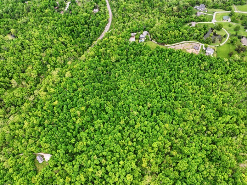 More Photos Of 30-Acres Wolfpen Pleasant Hill Rd, Day Heights Land For Sale