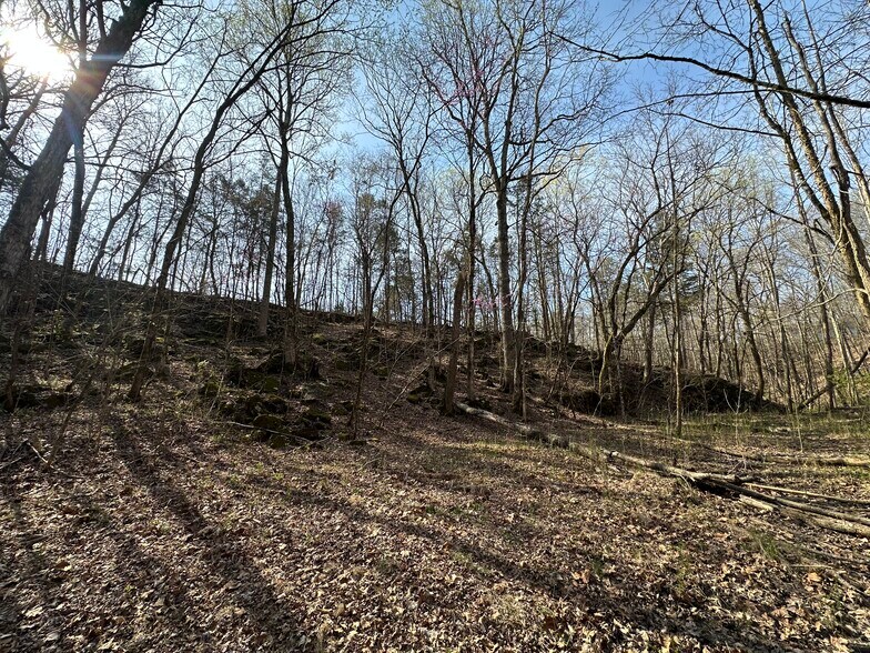 More Photos Of 7312 Highway 60, Georgetown Land For Sale