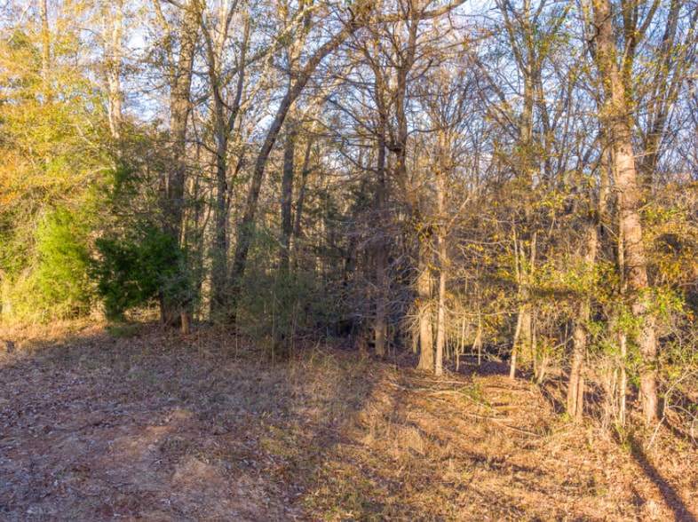 More Photos Of 0 Marshall Tucker Rd, Pauline Land For Sale