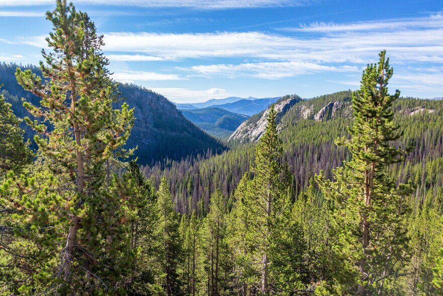 More Photos Of Spring Hill Private Timberland, Kila Land For Sale