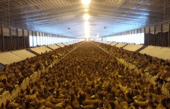 More Photos Of 1251 Bardin Rd, Palatka Land For Sale