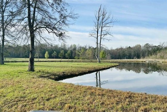 Primary Photo Of 1901 Lay Dam Rd, Clanton Land For Sale