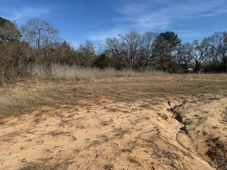 More Photos Of 505 Washington Ave, Livingston Land For Sale