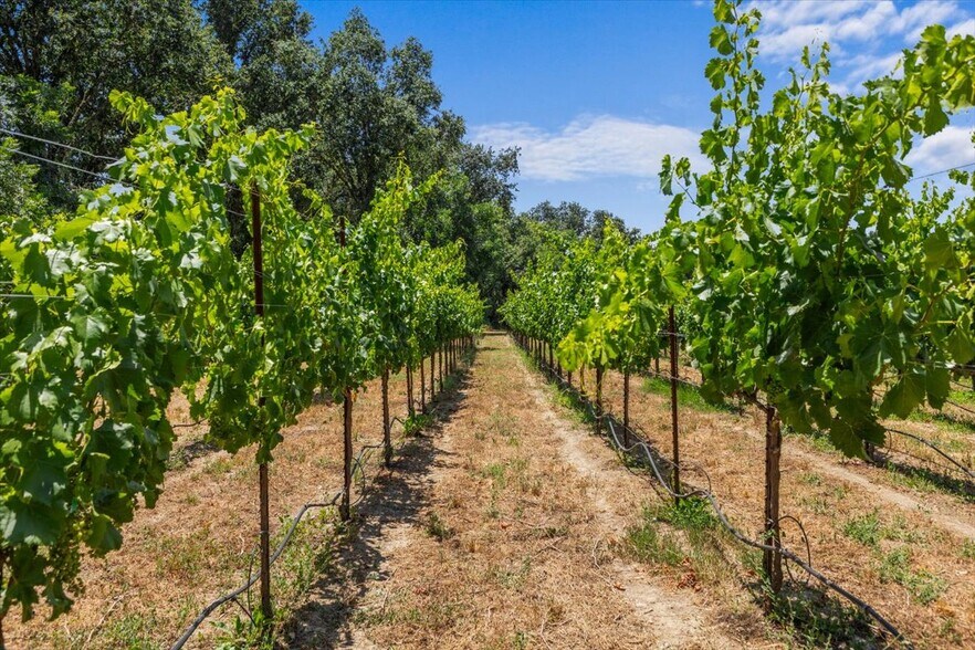 More Photos Of 5647 Highway 128, Geyserville Multifamily For Sale