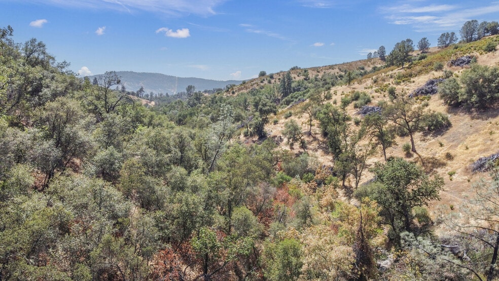 More Photos Of 5761 Highway 4, Angels Camp Land For Sale
