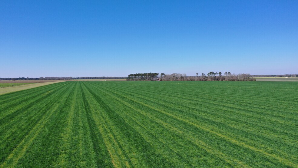 More Photos Of Lot 14 Davis Pond Rd rd, Atmore Land For Sale