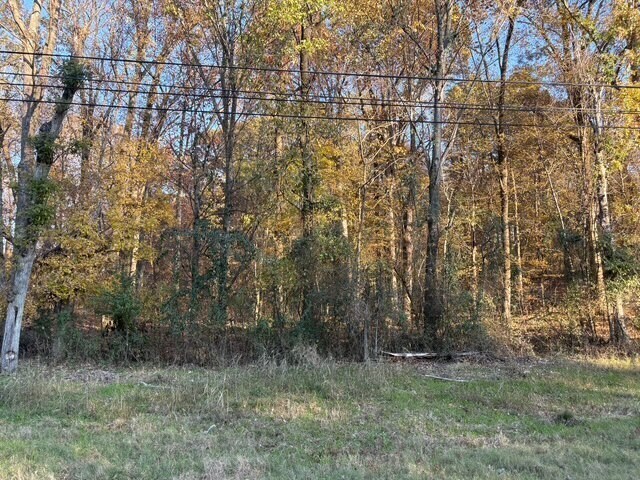 More Photos Of HWY 301, Horn Lake Land For Sale
