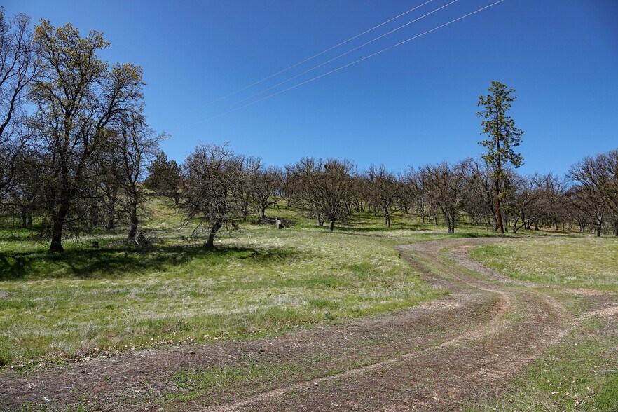 More Photos Of 13317 McAdams Creek Rd, Fort Jones Land For Sale