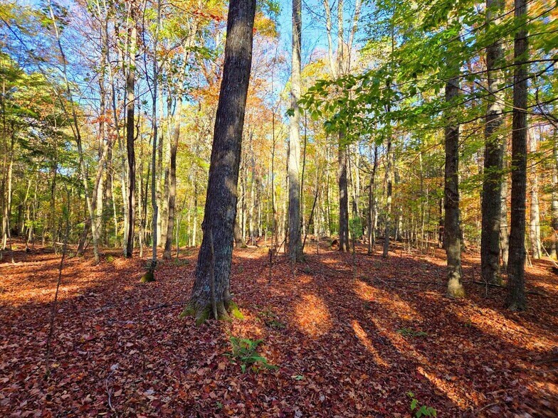 More Photos Of 0 Old Pluto Rd, Shady Spring Land For Sale