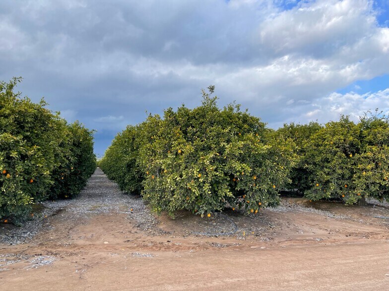 Orange Cove area, Orange Cove, CA 93646 Land For Sale