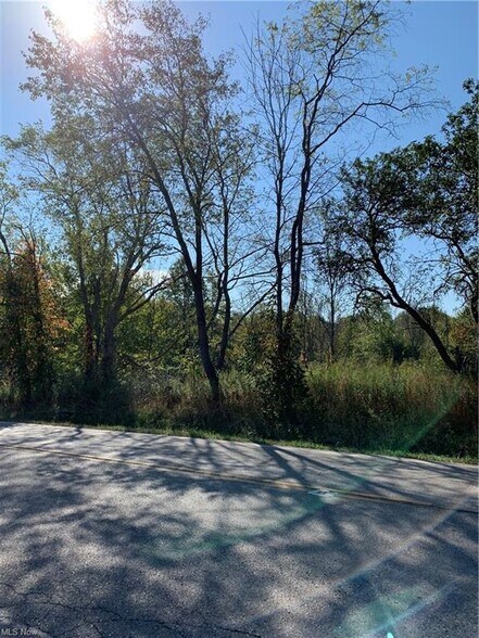 More Photos Of Bryant & SR 82 rd, Garrettsville Land For Sale