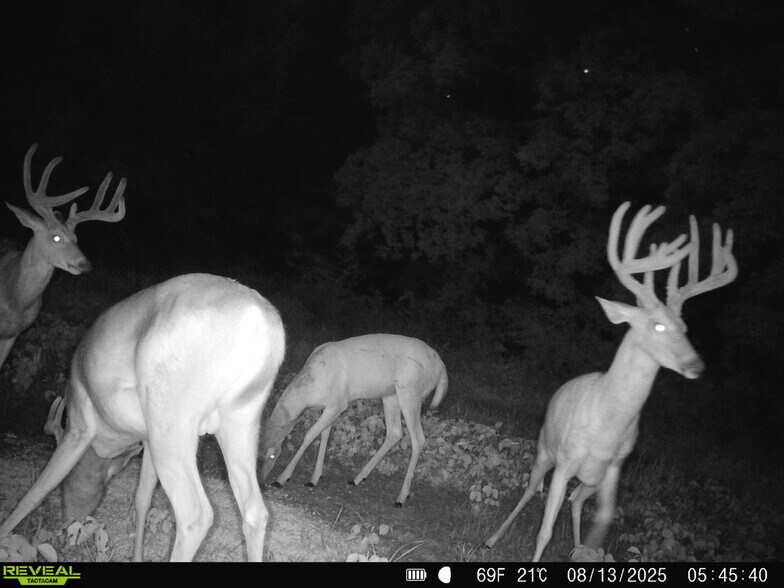 More Photos Of Highway D (77.2+/- Acres) Tract 1, Eolia Land For Sale