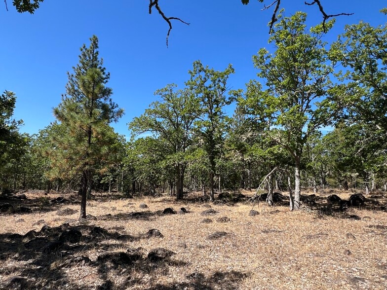 More Photos Of 407 Blue Spruce, Goldendale Land For Sale