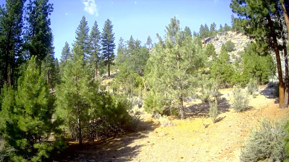 More Photos Of 457-315 Honey View Ln, Milford Land For Sale