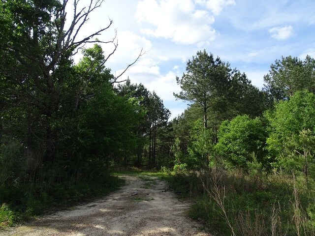 More Photos Of Courtney Rd, Lumberton Land For Sale