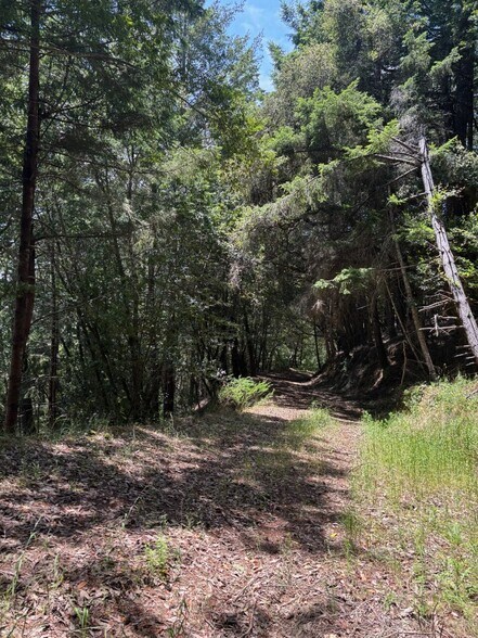 More Photos Of 21380 Siri rd, Guerneville Land For Sale