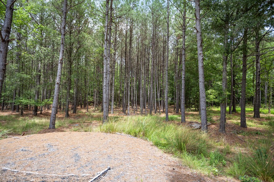 More Photos Of 414 New Elam Church Rd, Moncure Land For Sale