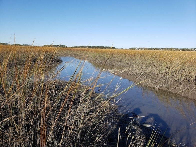 More Photos Of 1640 Evelina St, Mount Pleasant Land For Sale