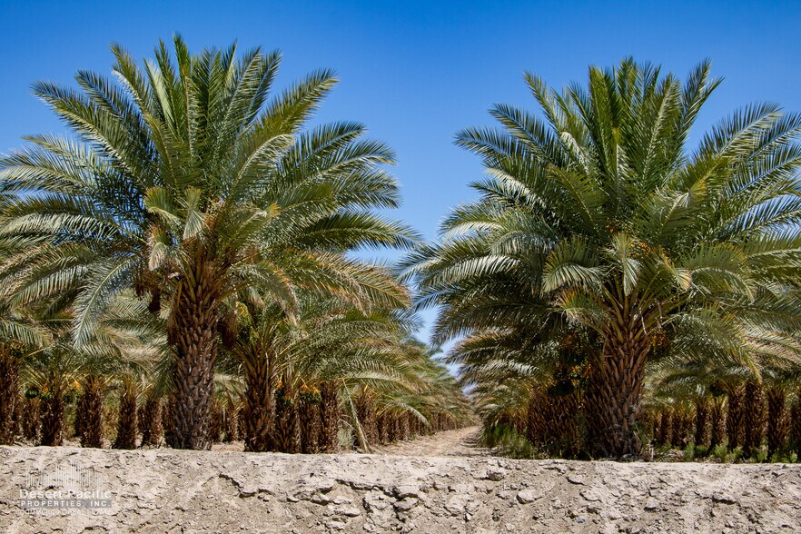 More Photos Of ,  Land For Sale