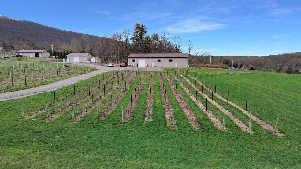 More Photos Of 596 Harman Rd, Halifax Winery Vineyard For Sale