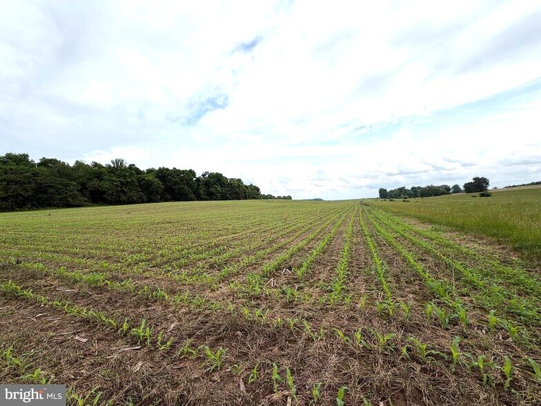 More Photos Of 9385 Royer Rd, Mercersburg Land For Sale