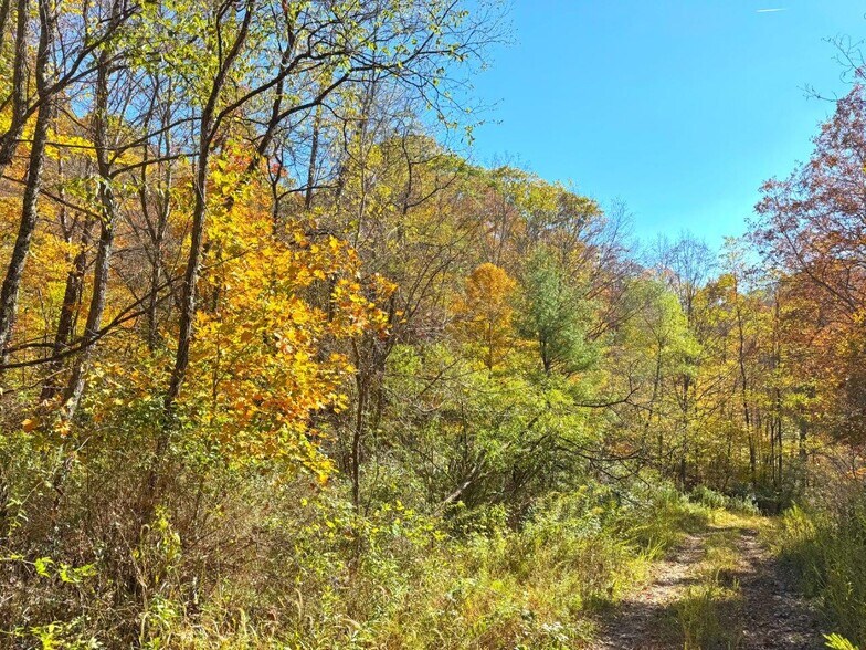 More Photos Of 0 Sewell Creek Rd, Meadow Bridge Land For Sale