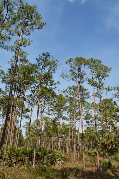 More Photos Of 8425 SW Martin Hwy, Palm City Land For Sale