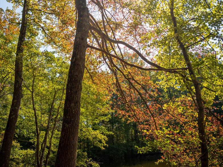 More Photos Of 00 Nash Mill Extension rd, Fountain Inn Land For Sale