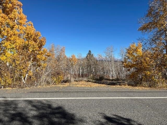 More Photos Of 3927 Crowley Lake Dr, Mammoth Lakes Land For Sale