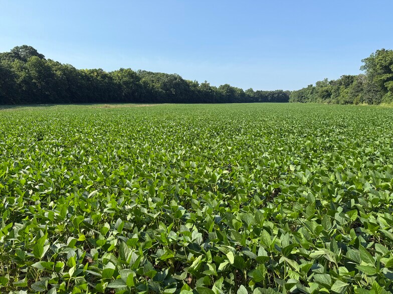 More Photos Of Walnut Hill Ln. (36.31+/- Acres), Elsberry Land For Sale