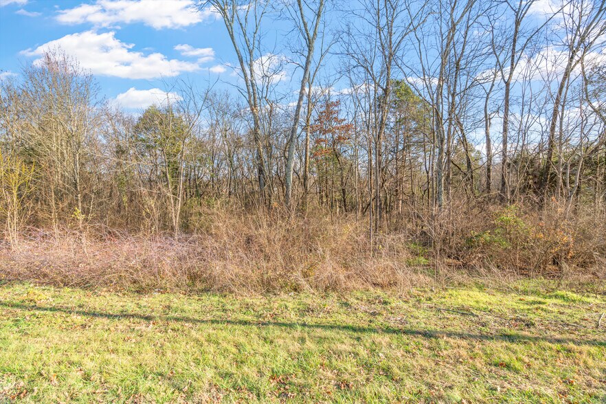 More Photos Of 0 Old Athens Pike, Sweetwater Land For Sale