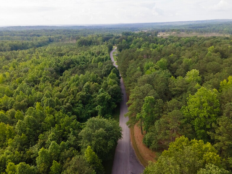 More Photos Of 0 Clayton Dr, Bremen Land For Sale