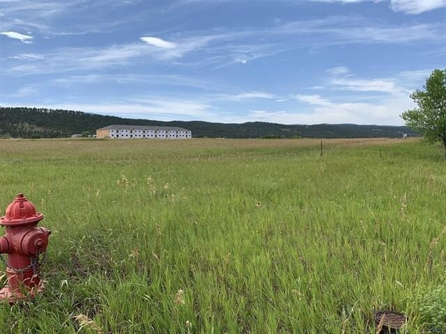 Primary Photo Of TBD Republic Rd, Summerset Land For Sale