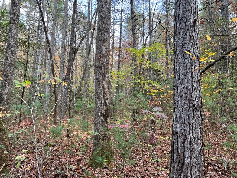 More Photos Of Whitecliff Drive, Ellijay Land For Sale
