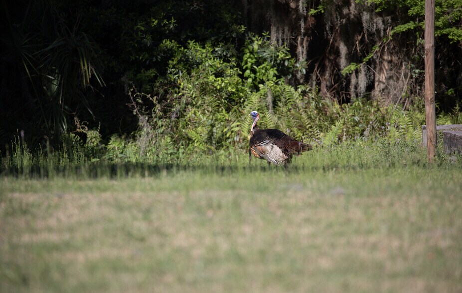 More Photos Of 5000 Firetower Rd, Haines City Lodge Meeting Hall For Sale