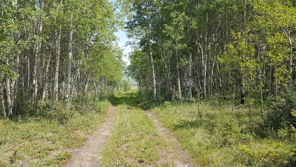 More Photos Of 1 Bow River, Rocky View No 44 Land For Sale