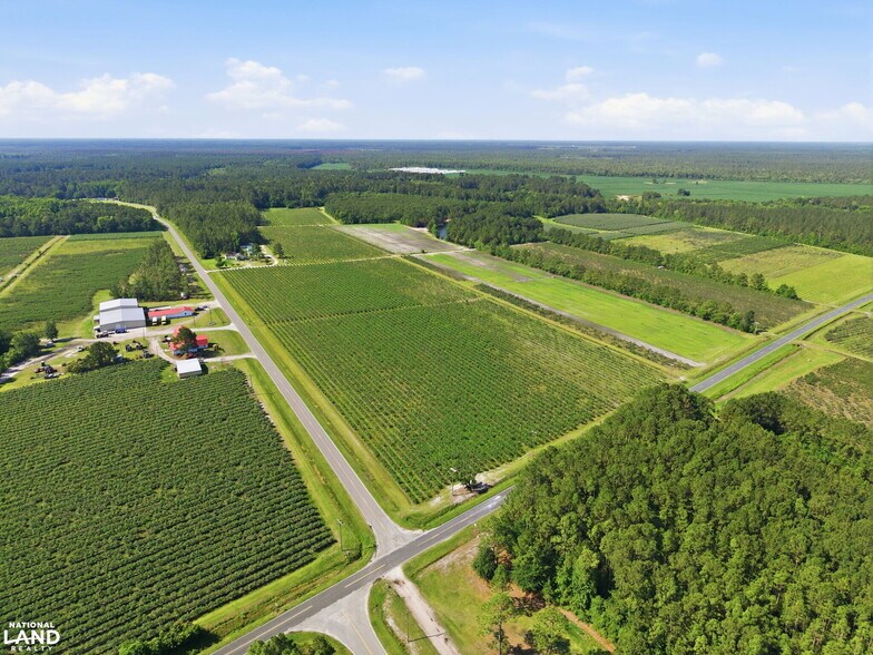 More Photos Of 5478 Halfway Branch School rd, Ivanhoe Land For Sale
