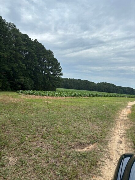 More Photos Of 2723 Mays Crossroads Rd, Youngsville Land For Sale